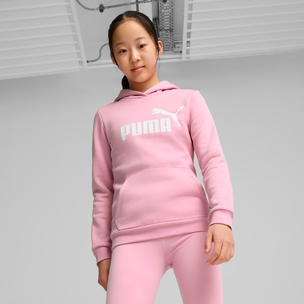 Imagen PUMA Polerón con capucha y logotipo juvenil Essentials #1