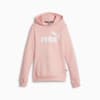 Image PUMA Moletom com Capuz Essentials Logo Fleece Juvenil #3