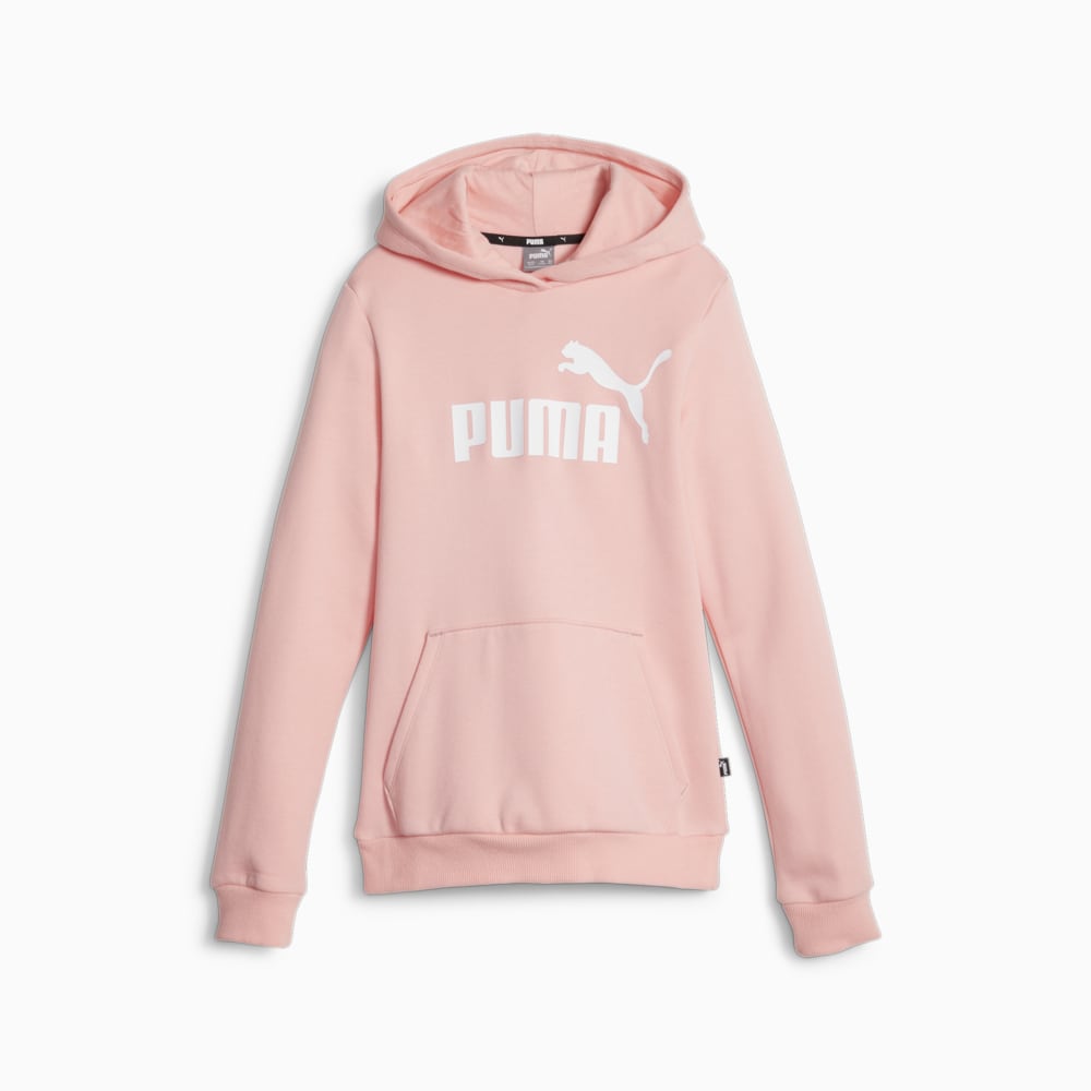 Image PUMA Moletom com Capuz Essentials Logo Fleece Juvenil #3