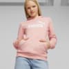 Image PUMA Moletom com Capuz Essentials Logo Fleece Juvenil #0