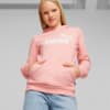 Imagen PUMA Polerón con capucha y logotipo juvenil Essentials #1