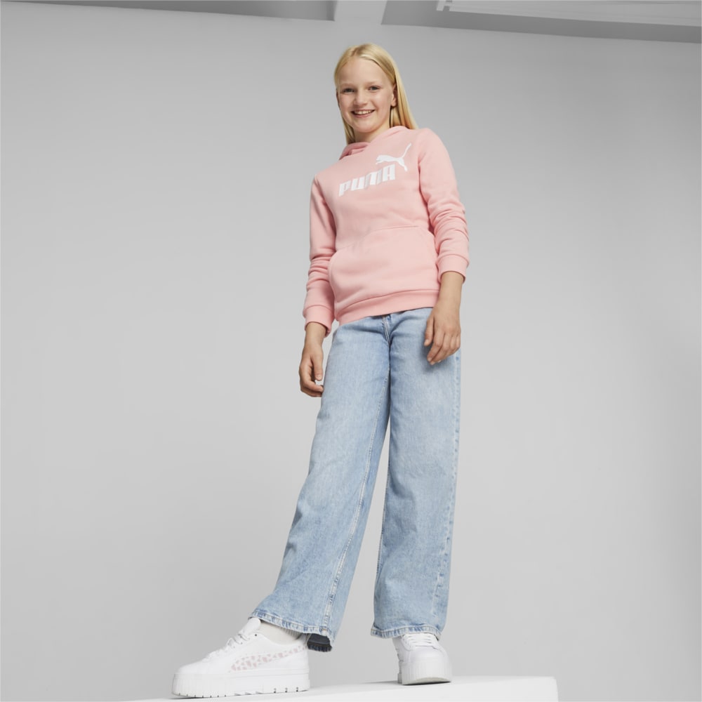 Image PUMA Moletom com Capuz Essentials Logo Fleece Juvenil #2