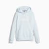Image PUMA Moletom com Capuz Essentials Logo Fleece Juvenil #4