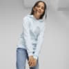 Image PUMA Moletom com Capuz Essentials Logo Fleece Juvenil #1