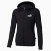 Изображение Puma Детское худи Essentials Small Logo Full-Zip Youth Hoodie #1: Puma Black