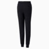 Зображення Puma Дитячі штани Essentials Youth Sweatpants #5: Puma Black