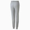 Изображение Puma Детские штаны Essentials Youth Sweatpants #6: light gray heather