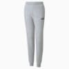 Зображення Puma Дитячі штани Essentials Youth Sweatpants #5: light gray heather