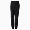 Изображение Puma Детские штаны Essentials Youth Sweatpants #2: Puma Black