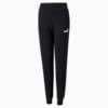 Изображение Puma Детские штаны Essentials Youth Sweatpants #1: Puma Black