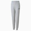 Зображення Puma Дитячі штани Essentials Youth Sweatpants #1: light gray heather