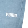 Изображение Puma Шорты Towel Knitted Men's Shorts #3: Infinity