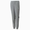 Зображення Puma Дитячі штани Active Sport Youth Sweatpants #1: Medium Gray Heather