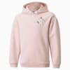 Зображення Puma Дитяча толстовка Alpha Youth Hoodie #1: Lotus