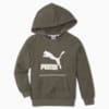 Зображення Puma Дитяча толстовка T4C Kids’ Hoodie #1: Grape Leaf