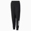 Image Puma Power Logo Youth Sweatpants #1