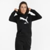 Зображення Puma Толстовка POWER Logo Women's Hoodie #1: Puma Black