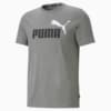 Image Puma No. 1 Logo Youth Tee #4