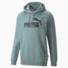 Image Puma Men's Hoodie #4