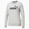 Image Puma No. 1 Logo Women's Sweatshirt #1