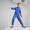Image Puma Youth Hoodie #3