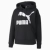 Зображення Puma Толстовка Classics Logo Hoodie #3: Puma Black