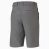 Image Puma Jackpot Men's Golf Shorts #2