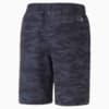 Image Puma EGW Walker Men's Golf Shorts #6