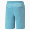 Image Puma EGW Walker Men's Golf Shorts #6