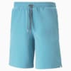 Image Puma EGW Walker Men's Golf Shorts #5