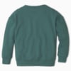Изображение Puma Детский свитшот T4C Crew Neck Kids' Sweater #2: Blue Spruce