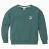 Зображення Puma Дитяча толстовка T4C Crew Neck Kids' Sweater #1: Blue Spruce