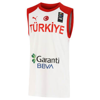 turkiye basketbol takimi takimlar