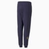 Зображення Puma Дитячі штани Neymar Jr Future Youth Football Sweatpants #2: Peacoat-Dandelion