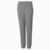 Зображення Puma Дитячі штани Neymar Jr Creativity Youth Sweatpants #1: Medium Gray Heather