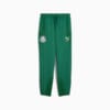 Image PUMA Calça Viagem KIDSUPER X SE PALMEIRAS Masculina #6