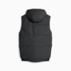 Image Puma BMW M Motorsport Statement Race Vest #7