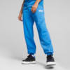Image Puma Mercedes-AMG PETRONAS Statement Motorsports Pants #1