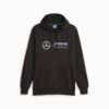 Image PUMA Moletom Mercedes-AMG PETRONAS Motorsport Masculino #6