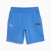 Image Puma Mercedes-AMG PETRONAS Men's Motorsport Shorts #6