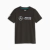 Зображення Puma Дитяча футболка Mercedes-AMG Petronas Motorsport Youth Logo Tee #1: Puma Black