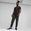 Image Puma BMW M Motorsport ESS Fleece Pants #2