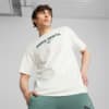 Imagen PUMA Polera para hombre PUMA Team #1