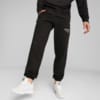 Зображення Puma Штани PUMA TEAM Men’s Sweatpants #1: Puma Black
