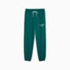 Изображение Puma Штаны PUMA TEAM Men’s Sweatpants #6: Malachite