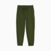 Изображение Puma Штаны CLASSICS Men's Fleece Sweatpants #6: Myrtle