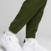 Изображение Puma Штаны CLASSICS Men's Fleece Sweatpants #4: Myrtle