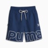 Imagen PUMA Shorts para hombre PUMA TEAM #6