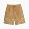 Image Puma PUMA TEAM Men's Relaxed Shorts #6