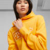Image Puma Classics 'Icons of Unity' Hoodie #4
